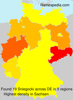 Surname Sniegocki in Germany Surname Sniegocki in Germany