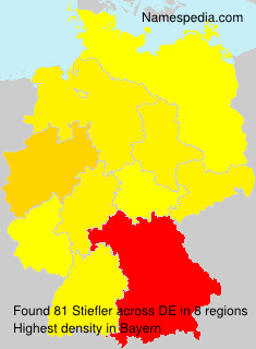 Stiefler Stiefler