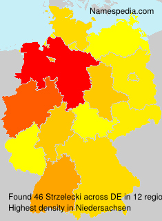 Surname Strzelecki in Germany Surname Strzelecki in Germany