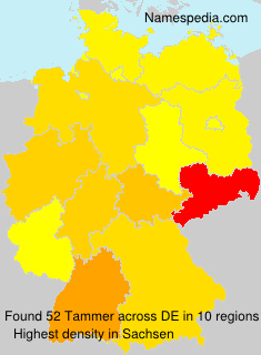 Tammer Tammer