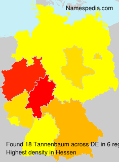 Surname Tannenbaum in Germany Surname Tannenbaum in Germany