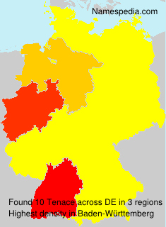 Surname Tenace in Germany Surname Tenace in Germany