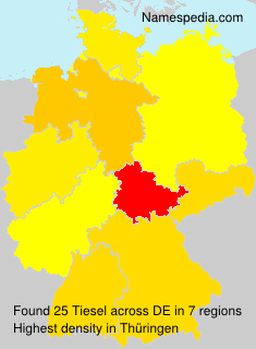 Surname Tiesel in Germany Surname Tiesel in Germany
