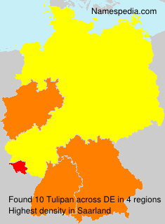 Surname Tulipan in Germany Surname Tulipan in Germany