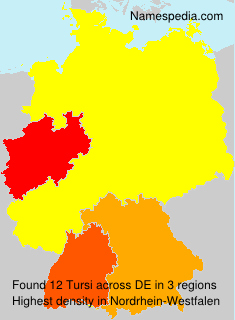 Surname Tursi in Germany Surname Tursi in Germany