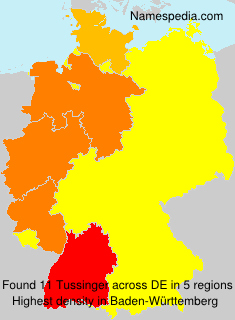 Surname Tussinger in Germany Surname Tussinger in Germany