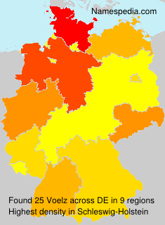Voelz Voelz