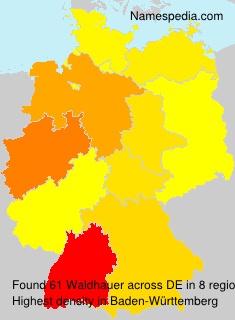 Surname Waldhauer in Germany Surname Waldhauer in Germany