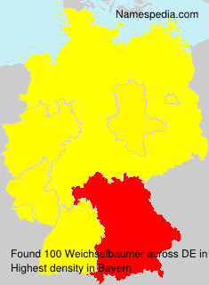 Surname Weichselbaumer in Germany Surname Weichselbaumer in Germany