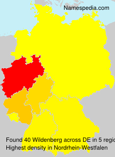 Surname Wildenberg in Germany Surname Wildenberg in Germany