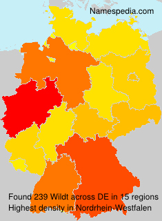 Surname Wildt in Germany Surname Wildt in Germany