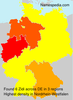 Surname Zidi in Germany Surname Zidi in Germany