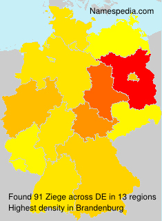 Surname Ziege in Germany