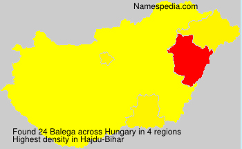 Balega Balega