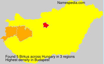 Birkus Birkus