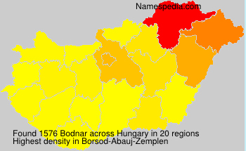Bodnar Bodnar