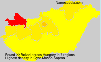 Bokori Bokori