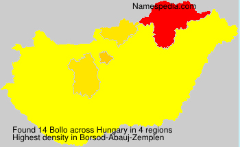 Bollo Bollo