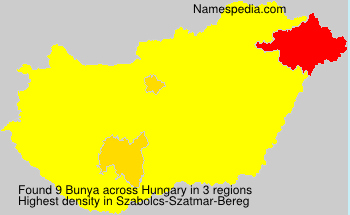 Bunya Bunya