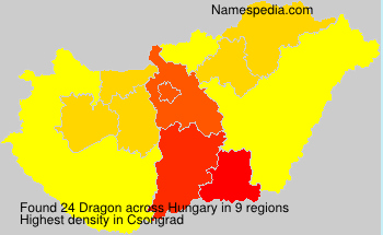 Dragon Dragon