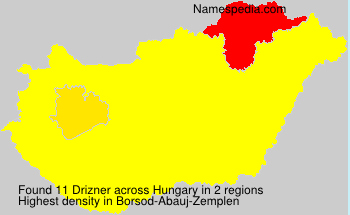Surname Drizner in Hungary Surname Drizner in Hungary