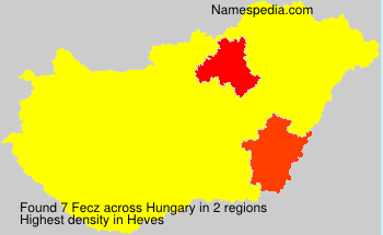 Fecz Fecz