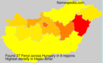 Surname Fenyi in Hungary Surname Fenyi in Hungary