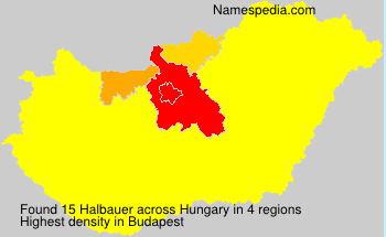 Halbauer