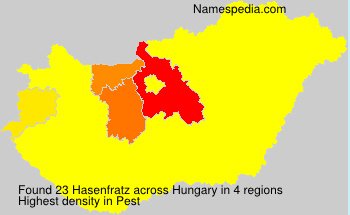 Hasenfratz Hasenfratz