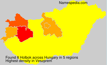 Holbok Holbok