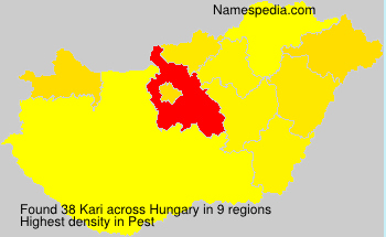 Kari Kari