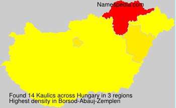 Kaulics Kaulics