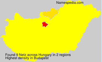 Netz Netz