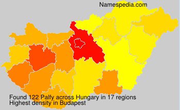 Palfy Palfy