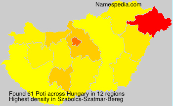 Poti Poti