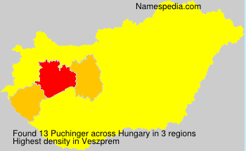 Puchinger Puchinger