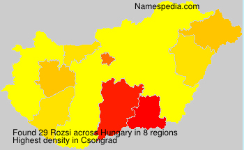 Rozsi Rozsi