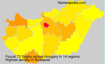 Surname Saghy in Hungary Surname Saghy in Hungary