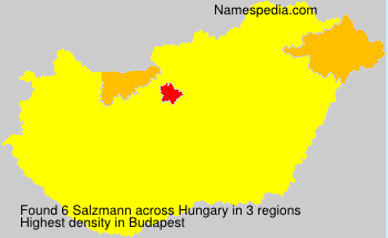 Salzmann Salzmann
