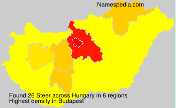 Steer Steer
