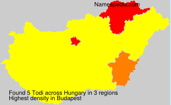 Todi Todi