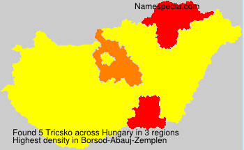 Surname Tricsko in Hungary Surname Tricsko in Hungary
