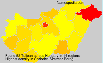 Surname Tulipan in Hungary Surname Tulipan in Hungary