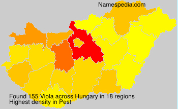 Viola Viola