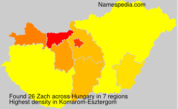 Zach Zach