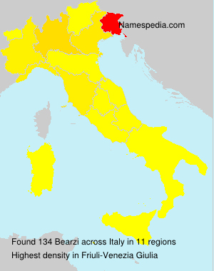 Surname Bearzi in Italy Surname Bearzi in Italy