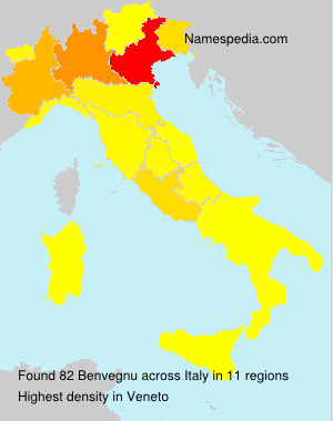 Surname Benvegnu in Italy Surname Benvegnu in Italy