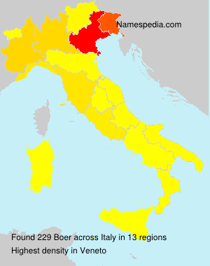 Surname Boer in Italy Surname Boer in Italy
