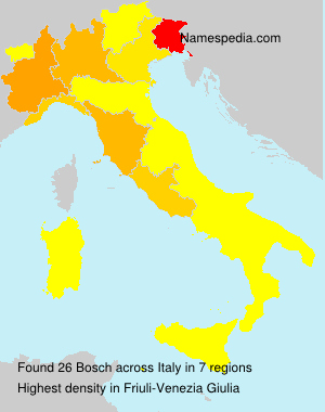 Surname Bosch in Italy Surname Bosch in Italy