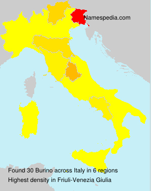 Surname Burino in Italy Surname Burino in Italy